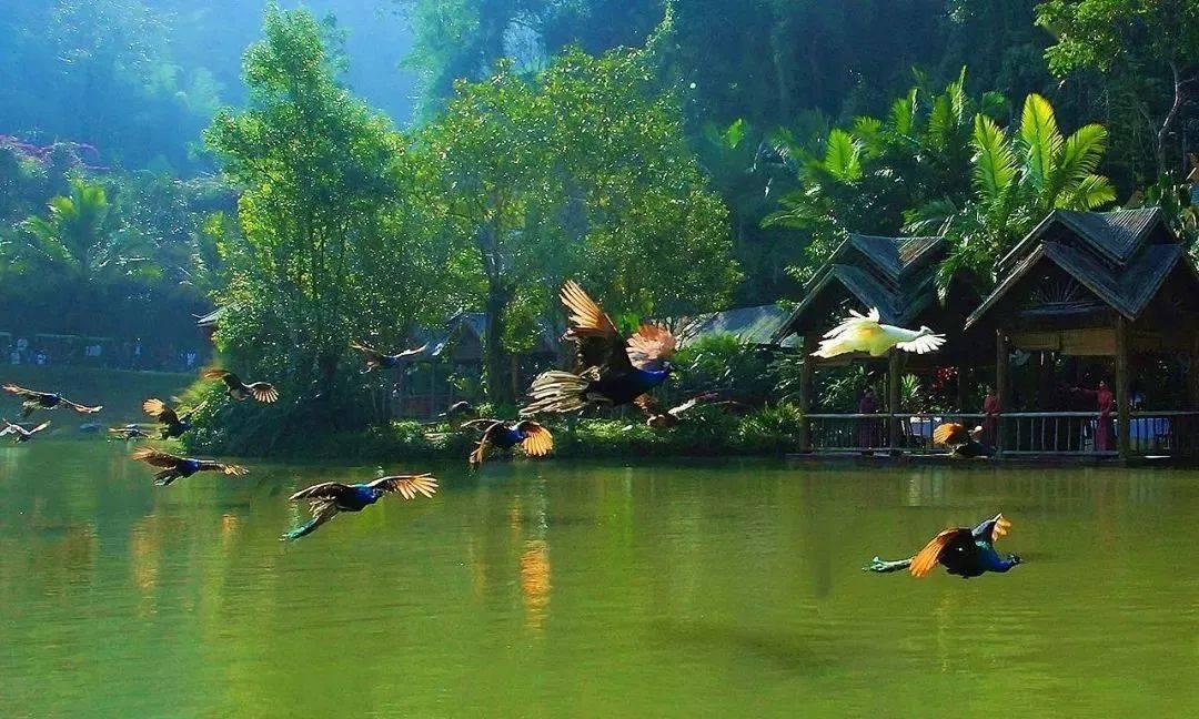 解惑蜗牛,前列腺炎与精囊炎有什么关系问答平台